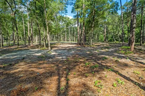 29901 State Road 44, Eustis, FL 32736 photo 5