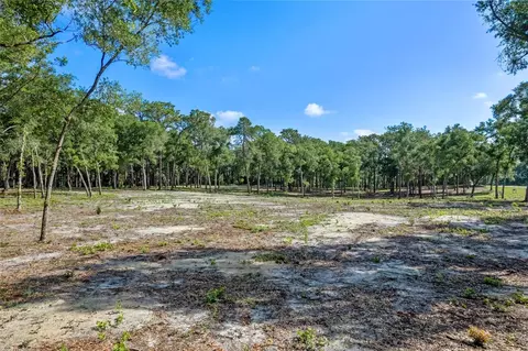 29901 State Road 44, Eustis, FL 32736 photo 17