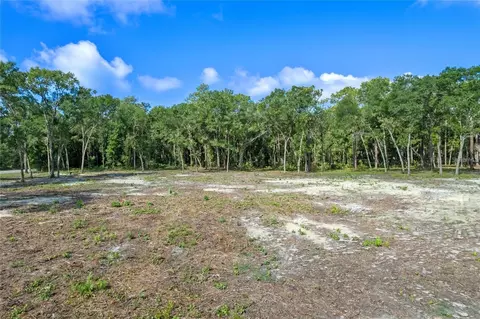 29901 State Road 44, Eustis, FL 32736 photo 2