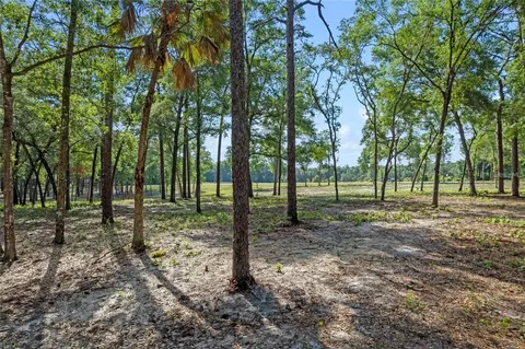 29901 State Road 44, Eustis, FL 32736 photo 3