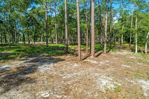 29901 State Road 44, Eustis, FL 32736 photo 4