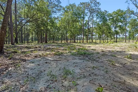 29901 State Road 44, Eustis, FL 32736 photo 6