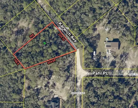 6450 Karwich Ave, Webster, FL 33597