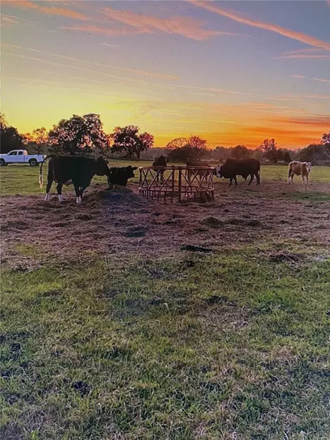 3650 95th St, Anthony, FL 32617