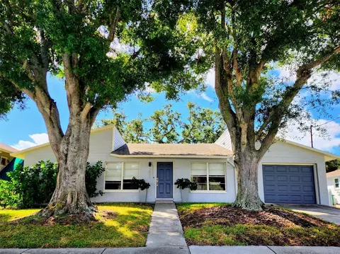 2806 W Shelton Ave, Tampa, FL 33611