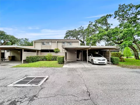 8631 Cattail Dr, Temple Terrace, FL 33637