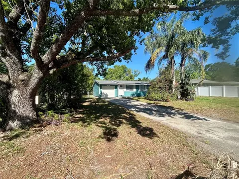 855 Marion Dr, Mount Dora, FL 32757 photo 1