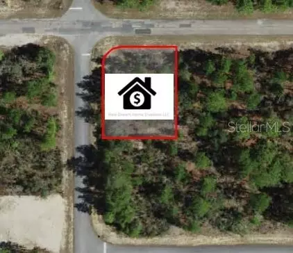 6568 N Dunlap Ter, Citrus Springs, FL 34433