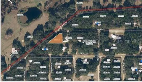 Riley Street, Interlachen, FL 32148 photo 5