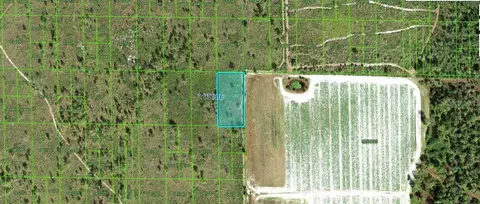 Grape Hammock Rd, Lake Wales, FL 33898