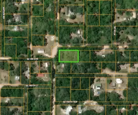 0 SE 189th Ter, Ocklawaha, FL 32179