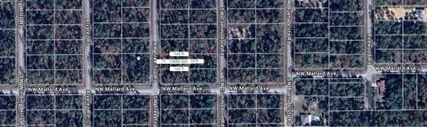 Nw Tree Top, Dunnellon, FL 34431