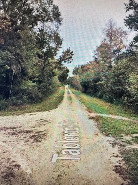 Table Rock Drive, Webster, FL 33597 photo 9