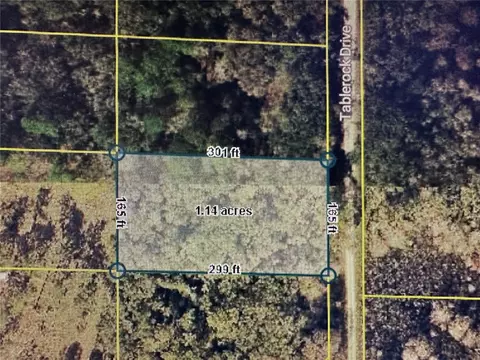 Table Rock Drive, Webster, FL 33597 photo 6