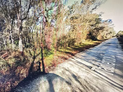 Table Rock Drive, Webster, FL 33597 photo 4