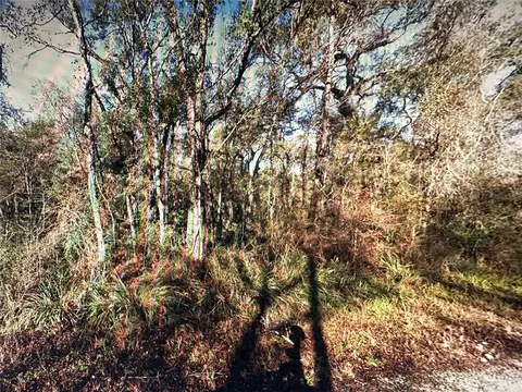 Table Rock Drive, Webster, FL 33597 photo 2