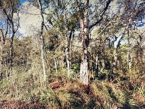 Table Rock Drive, Webster, FL 33597
