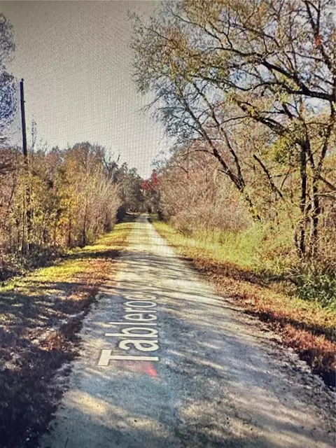 Table Rock Drive, Webster, FL 33597 photo 8