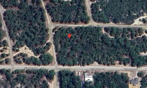 401 Wind Rose Ave, Lake Placid, FL 33852