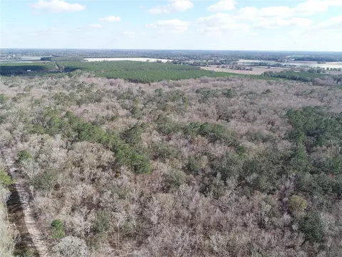 SW 25th Place, Trenton, FL 32693