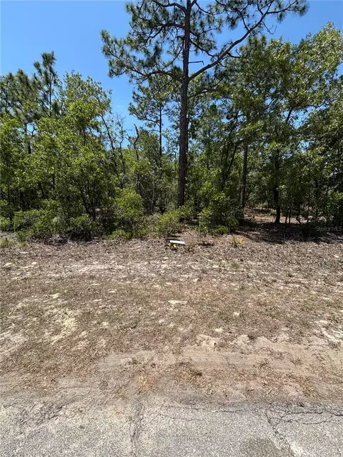 9898 N Lathyrus Ter, Dunnellon, FL 34433