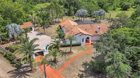 13124 Filly Ct, Windermere, FL 34786