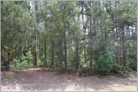 Bill Collins Road, Eustis, FL 32736