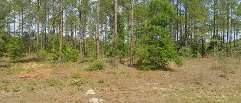 10940 N Letterwood Way, Dunnellon, FL 34434