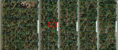 00 NW Alvarez Rd, Dunnellon, FL 34431