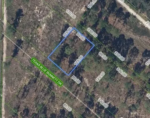 6139 Texas Blue Bonnett Dr, Sebring, FL 33876