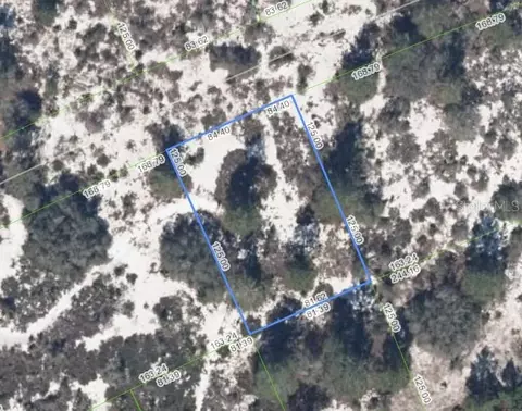 463 Humoresque Ln, Lake Placid, FL 33852