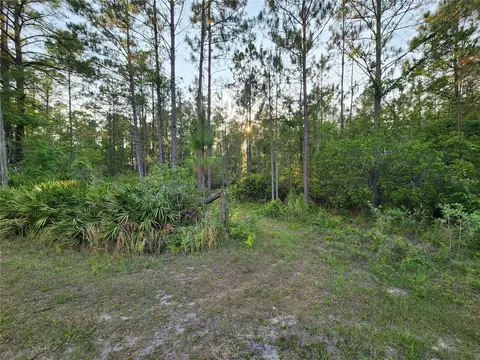 lot8 Tamarac St, Eustis, FL 32736 photo 2