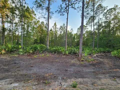 lot8 Tamarac St, Eustis, FL 32736 photo 4