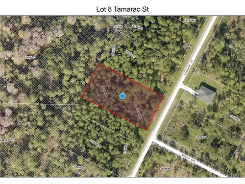 lot8 Tamarac St, Eustis, FL 32736