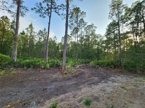 lot8 Tamarac St, Eustis, FL 32736 photo 3