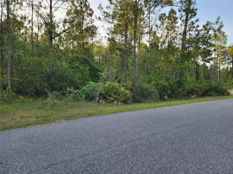 lot8 Tamarac St, Eustis, FL 32736 photo 7