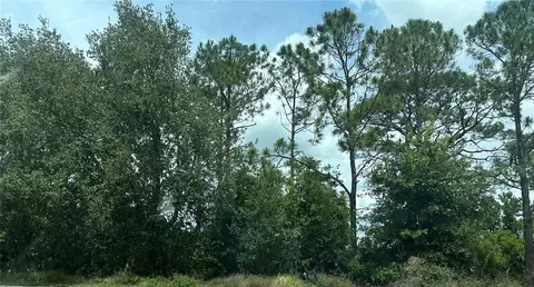 Sr-535, Orlando, FL 32821