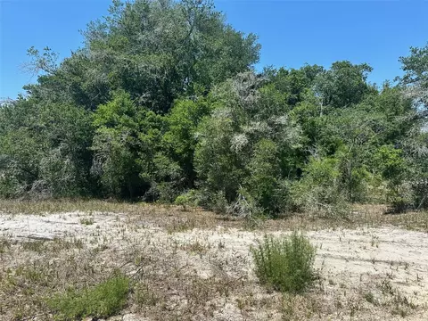tbd Orange Rd, Ocklawaha, FL 32179