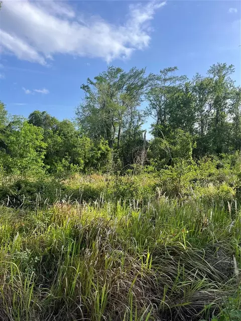 Harvest Lane, Kissimmee, FL 34744