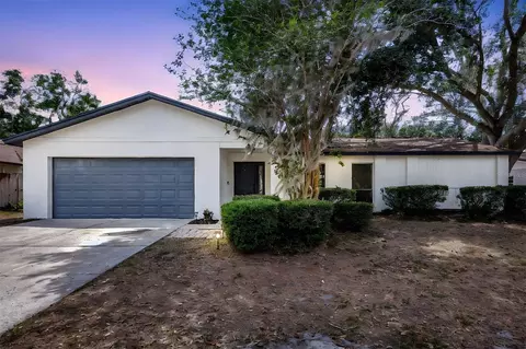 623 Sandy Creek Dr, Brandon, FL 33511