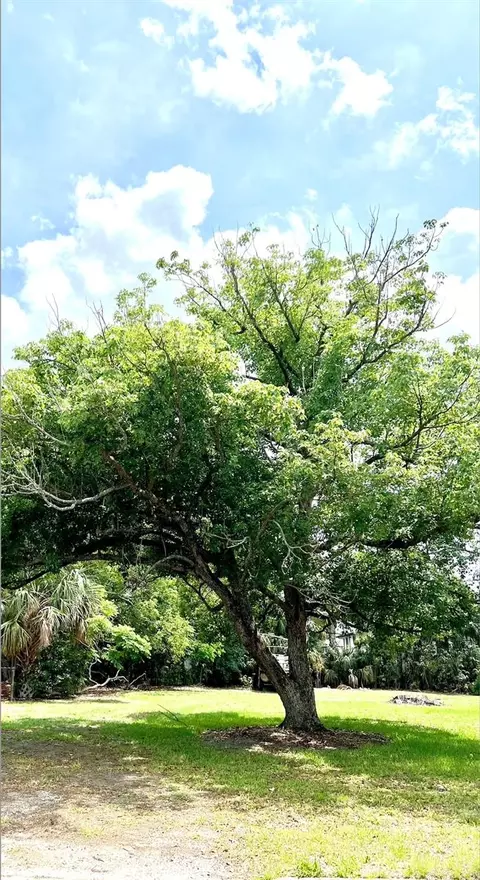 W Vining Street, Winter Garden, FL 34787