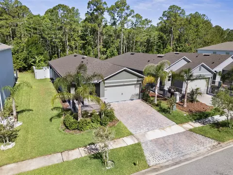 280 Caryota Ct, New Smyrna Beach, FL 32168