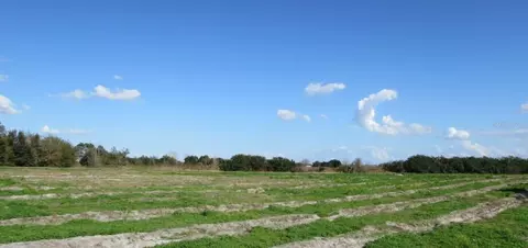 Chalet Suzanne Road, Lake Wales, FL 33859