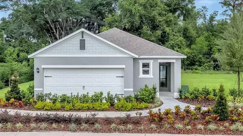 3438 Briarwood Grove Dr, Ocoee, FL 34761