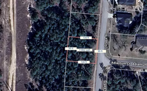 62 Grass St, Homosassa, FL 34446