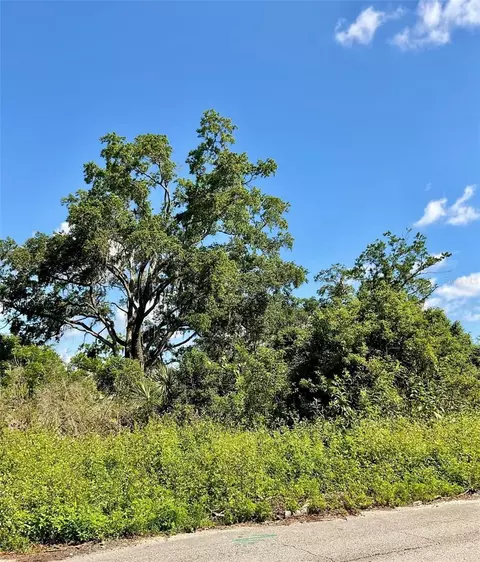Paige Avenue, New Smyrna Beach, FL 32168
