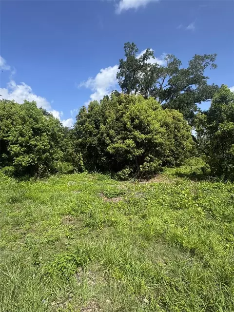 Paige Avenue, New Smyrna Beach, FL 32168