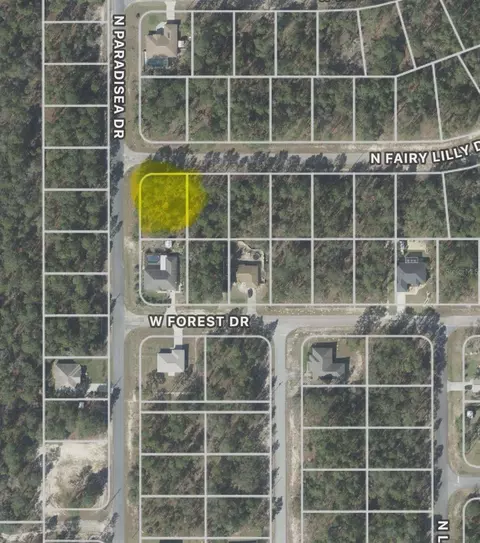 9309 N Fairy Lilly Dr, Citrus Springs, FL 34433