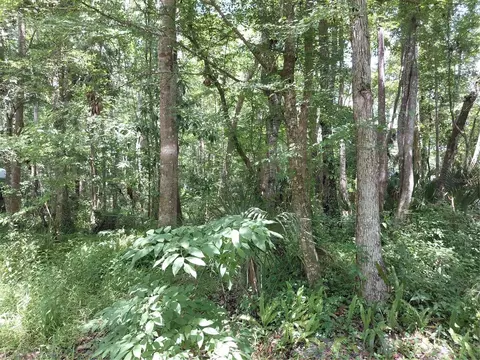 24028 Bass Rd, Astor, FL 32102