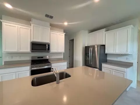 3975 Kennebunk Loop, Mount Dora, FL 32757 photo 3